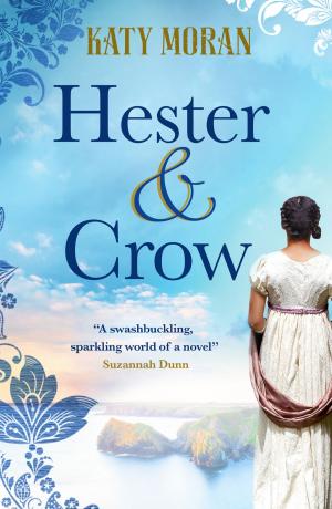 Cover of the book Hester and Crow by Rosie Clarke