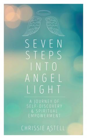 Cover of the book Seven Steps into Angel Light by Tim Pratt