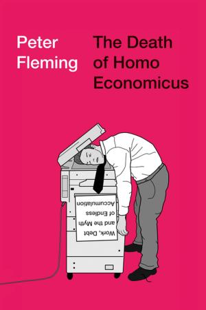 Cover of the book The Death of Homo Economicus by Guy Tchibozo