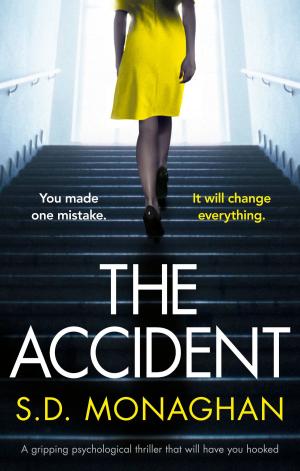 Cover of the book The Accident by Sue Watson