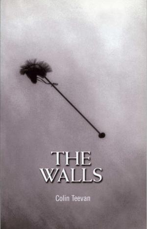Cover of the book The Walls by J.B. Priestley