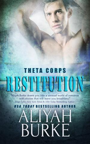 Cover of the book Restitution by SJD Peterson