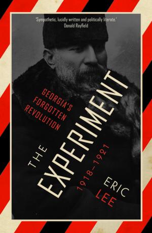 Cover of the book The Experiment by Boaventura De Sousa Santos