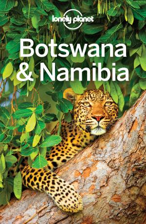 Book cover of Lonely Planet Botswana & Namibia