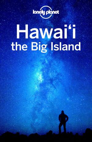 Book cover of Lonely Planet Hawaii the Big Island