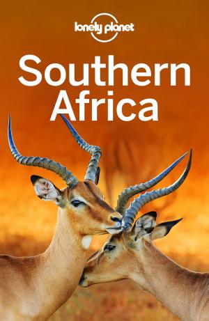Book cover of Lonely Planet Southern Africa