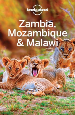 Book cover of Lonely Planet Zambia, Mozambique & Malawi