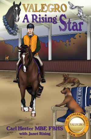 Book cover of Valegro - A Rising Star