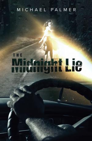 Book cover of The Midnight Lie