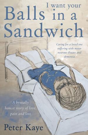 Cover of the book Balls in a Sandwich by Marina de Nadous