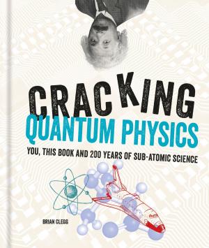 Cover of the book Cracking Quantum Physics by Pyramid
