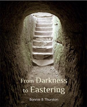 Cover of the book From Darkness to Eastering by Bruce C Ball