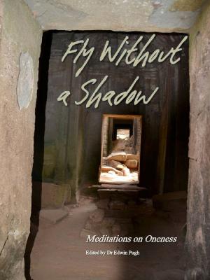 Cover of Fly Without A Shadow: Meditations on Oneness