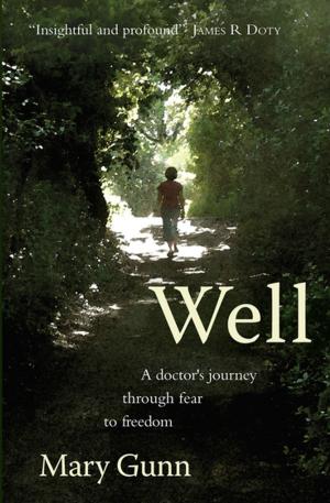 Cover of the book Well by Douglas Skelton