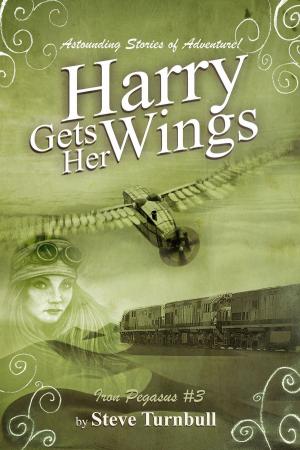 Cover of the book Harry Gets Her Wings by Sharon T. Rose