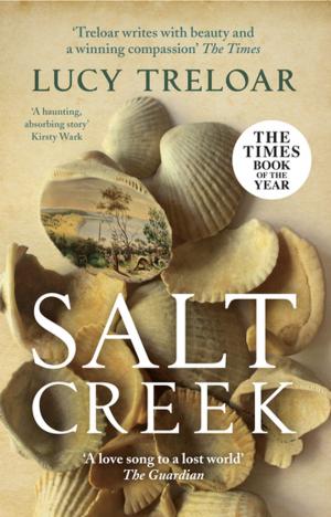 Cover of the book Salt Creek by Damien Wilkins