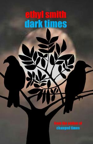 Cover of the book Dark Times by Carol Fenlon
