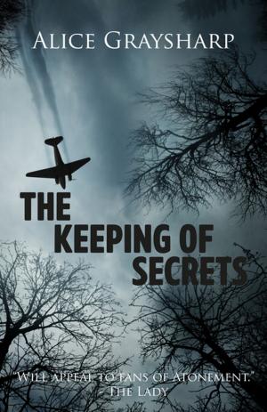 Cover of the book The Keeping of Secrets by Veronica Bird, Richard Newman