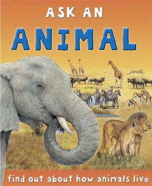 Cover of the book Animal by Ruth Symons