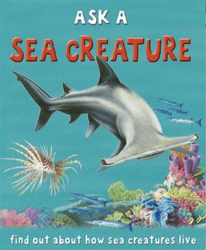 Cover of the book Sea Creature by Julia Bruce