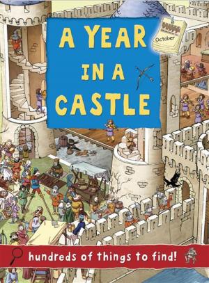 Cover of the book Castle by Ruth Symons