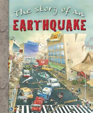 Cover of the book Earthquake by Julia Bruce