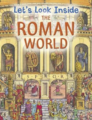 Cover of the book Roman World by Julia Bruce