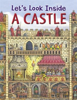Cover of the book Castle by Bryan Cohen