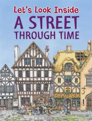 Cover of the book Street through Time by Nicholas Harris