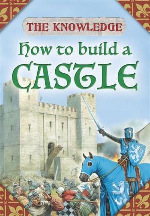 bigCover of the book How to Build a Castle by 