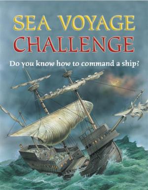 bigCover of the book Sea Voyage by 