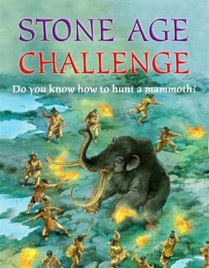 bigCover of the book Stone Age by 