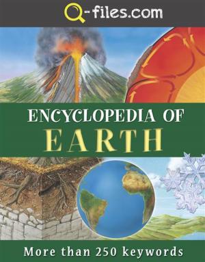 Book cover of Earth