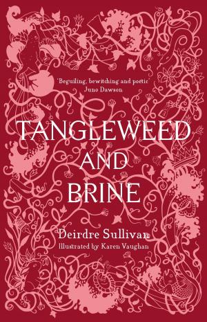 Cover of the book Tangleweed and Brine by Sheena Wilkinson
