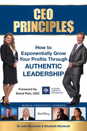 Cover of the book CEO Principles by Simon Frayne, Daniel O'Connor