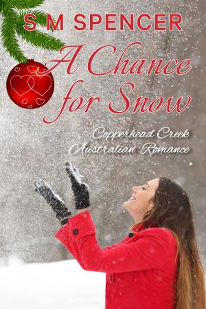 bigCover of the book A Chance for Snow by 