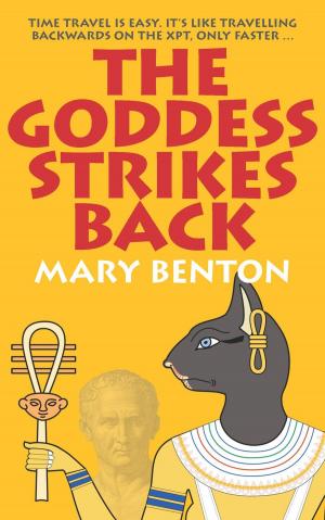 Cover of the book The Goddess Strikes Back by philippe Tonglet