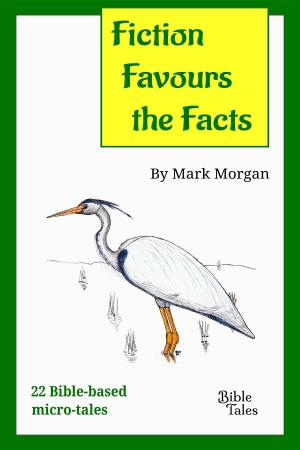 Book cover of Fiction Favours the Facts