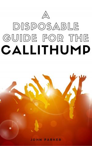 Book cover of A Disposable Guide For The Callithump