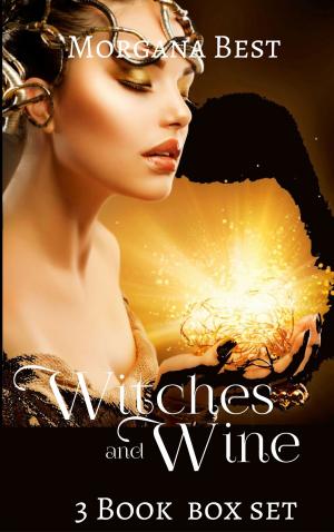 Cover of the book Witches and Wine: Box Set: Books 1-3 by Elaine Ridge