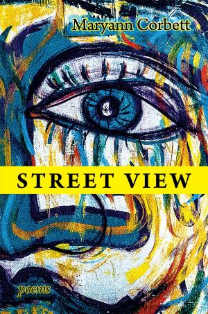 Cover of the book Street View by Katie Hartsock