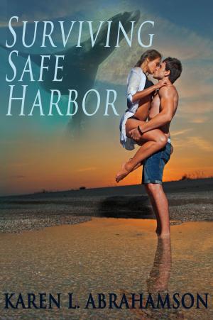 Book cover of Surviving Safe Harbor