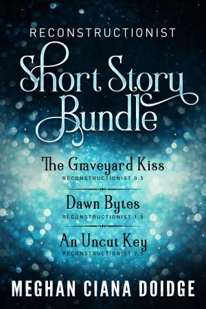Book cover of Reconstructionist Series: Short Story Bundle