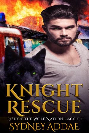 Book cover of Knight Rescue