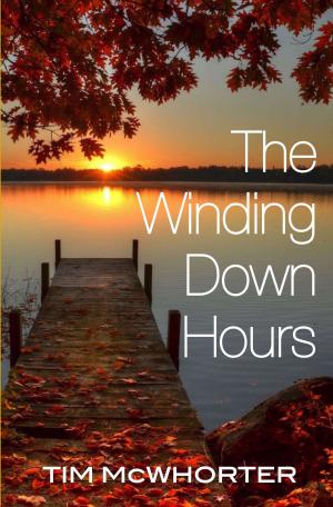 Cover of the book The Winding Down Hours by Pamphile Lemay