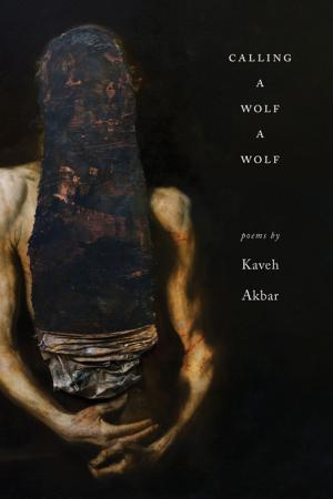Cover of the book Calling a Wolf a Wolf by Donald Revell