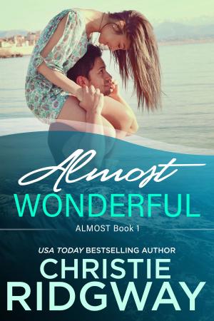 Book cover of Almost Wonderful (Book 1)