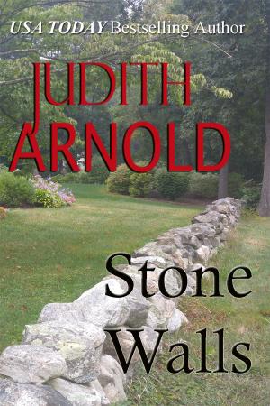 Cover of the book Stone Walls by Judith Arnold