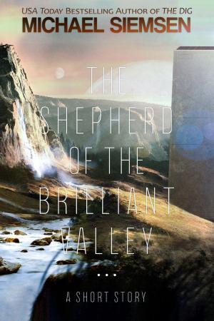 Cover of the book The Shepherd of the Brilliant Valley by Felicia Jedlicka