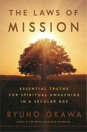 Cover of the book The Laws of Mission by Robin and Shaudonna Bryant